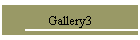 Gallery3